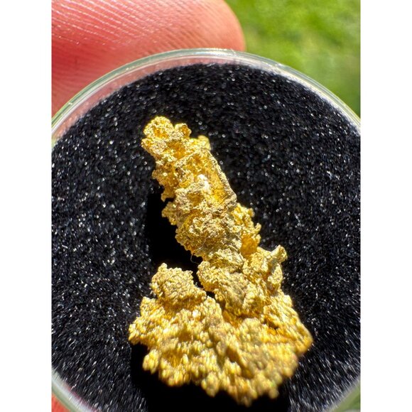California Native Gold Crystal - 1.54 grams - Picture 6 of 7